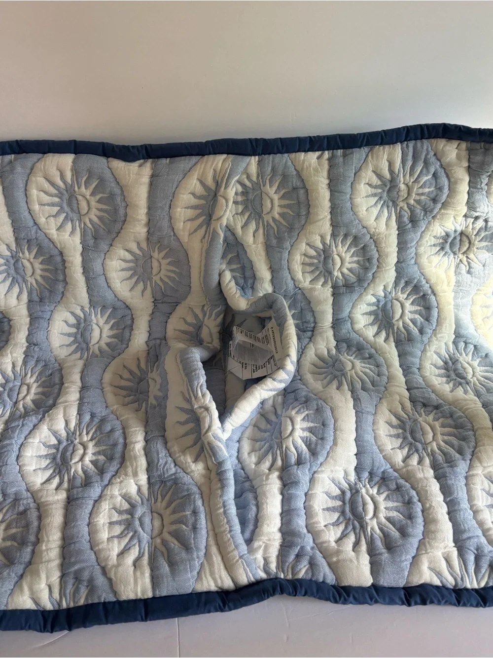 NWOT Anthropologie Nelly Icon Euro Sham